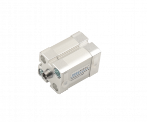 pneumatic cylinder