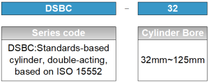 DSBC/DSBG Kits ordering code