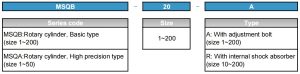 MSQ ordering code