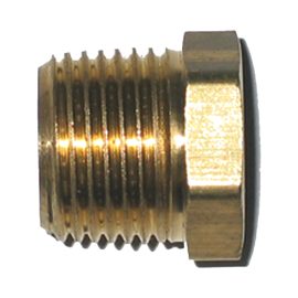 Brass Hex Plug