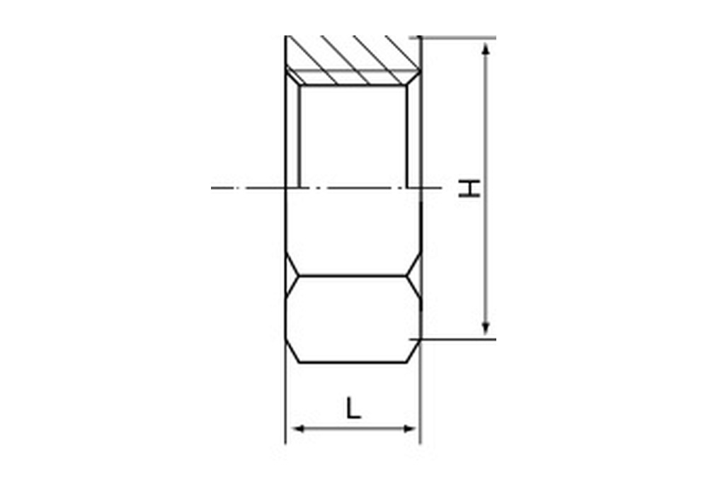 Stainless Steel 150LB Hex Back Nut Dimension Drawing