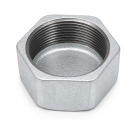 Malleable Iron Hex Cap Fig.300
