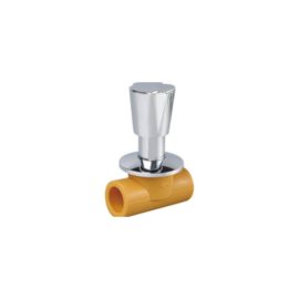 PPR Concealed Valve