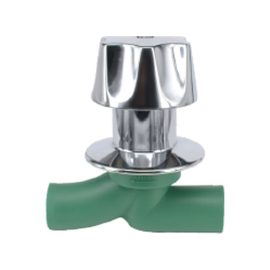 PPR Dark Valve