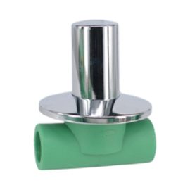 PPR Dark Valve