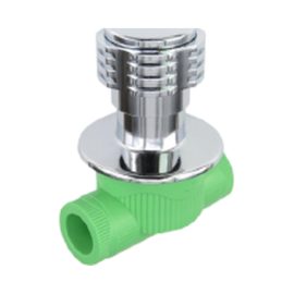 PPR Dark Valve