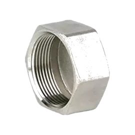 Stainless Steel 150LB Hex Cap