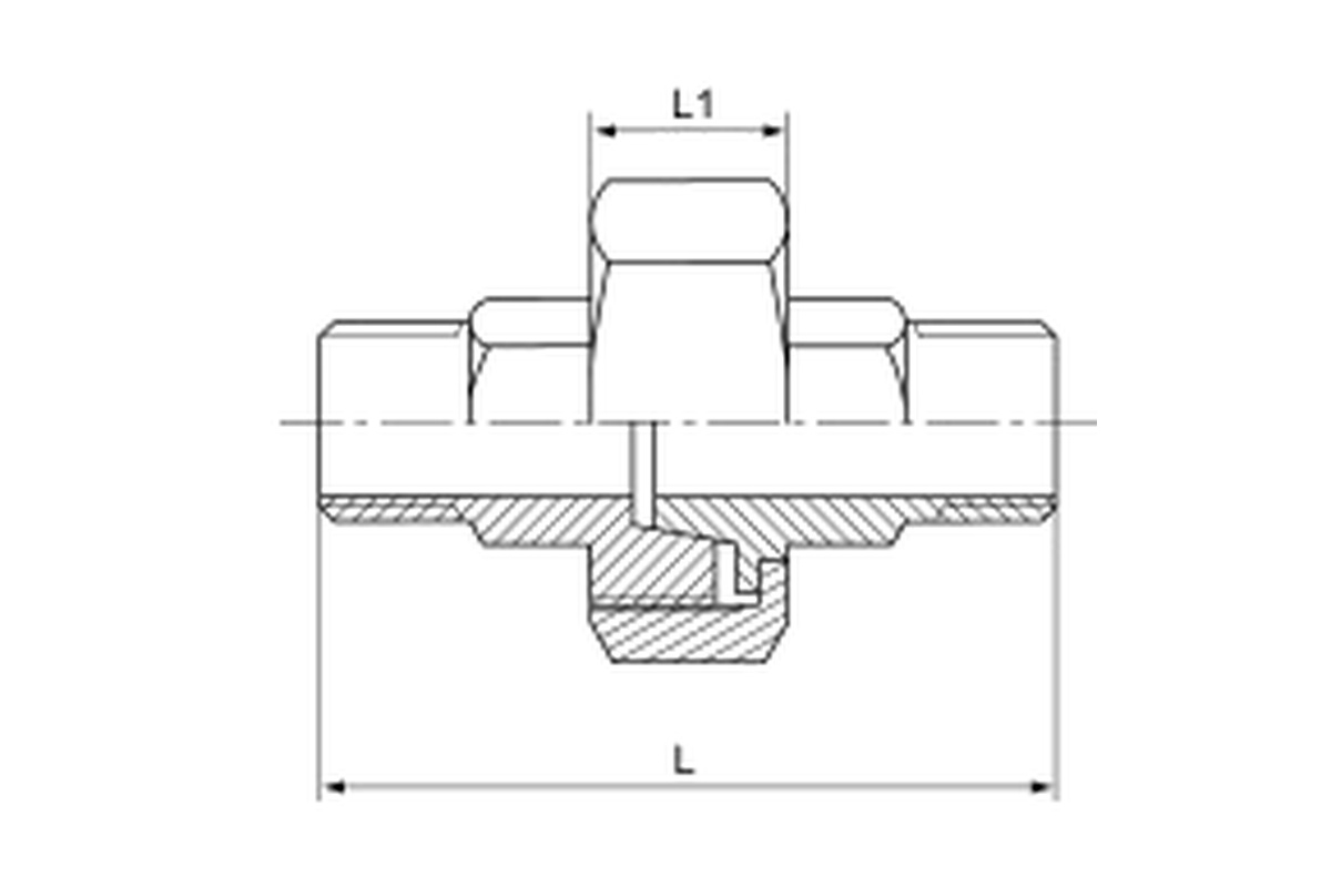 Stainless Steel 150LB Union Conical M/M complete dimension drawing