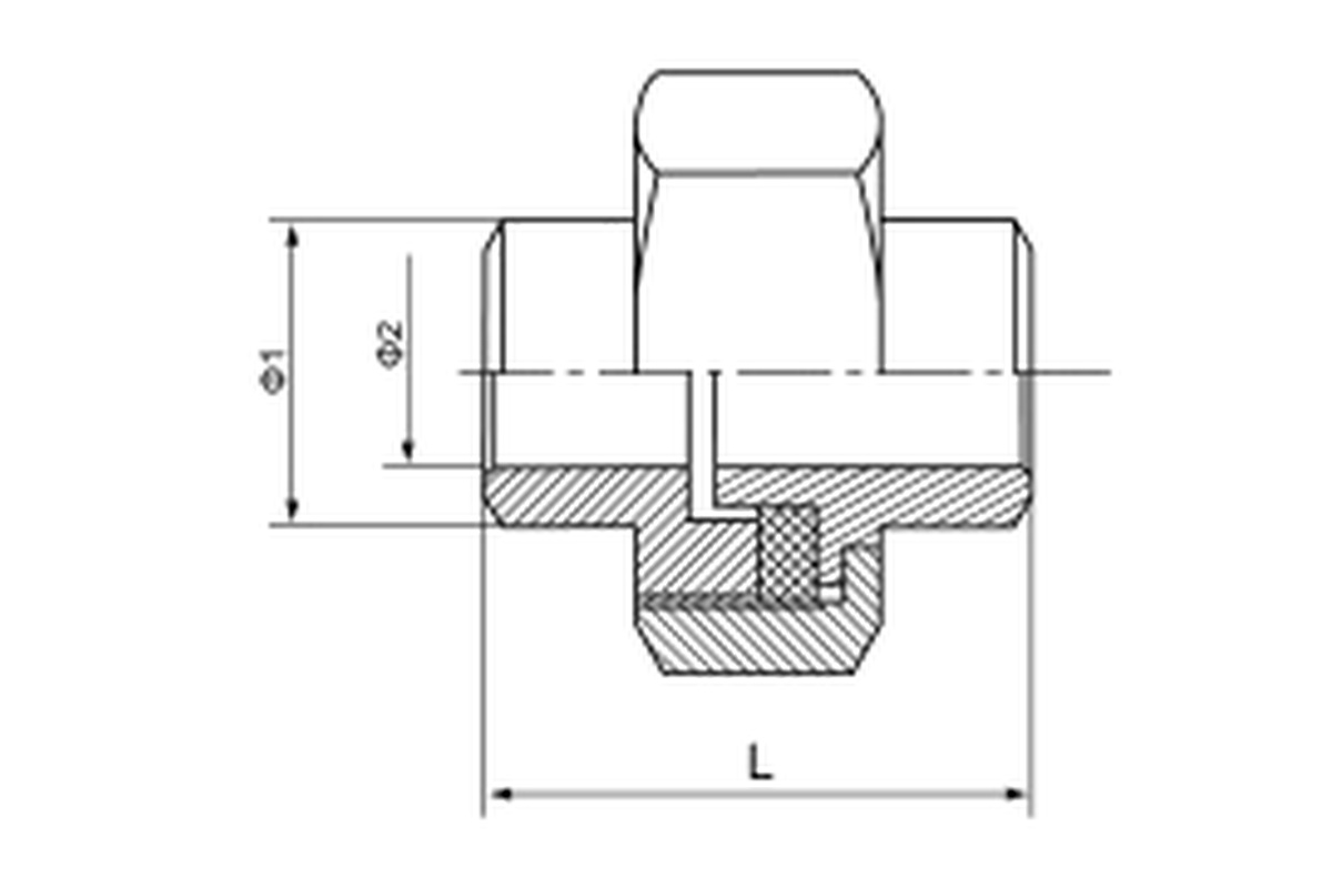 Stainless Steel 150LB Union Teflon Flat BW/BW complete dimension drawing