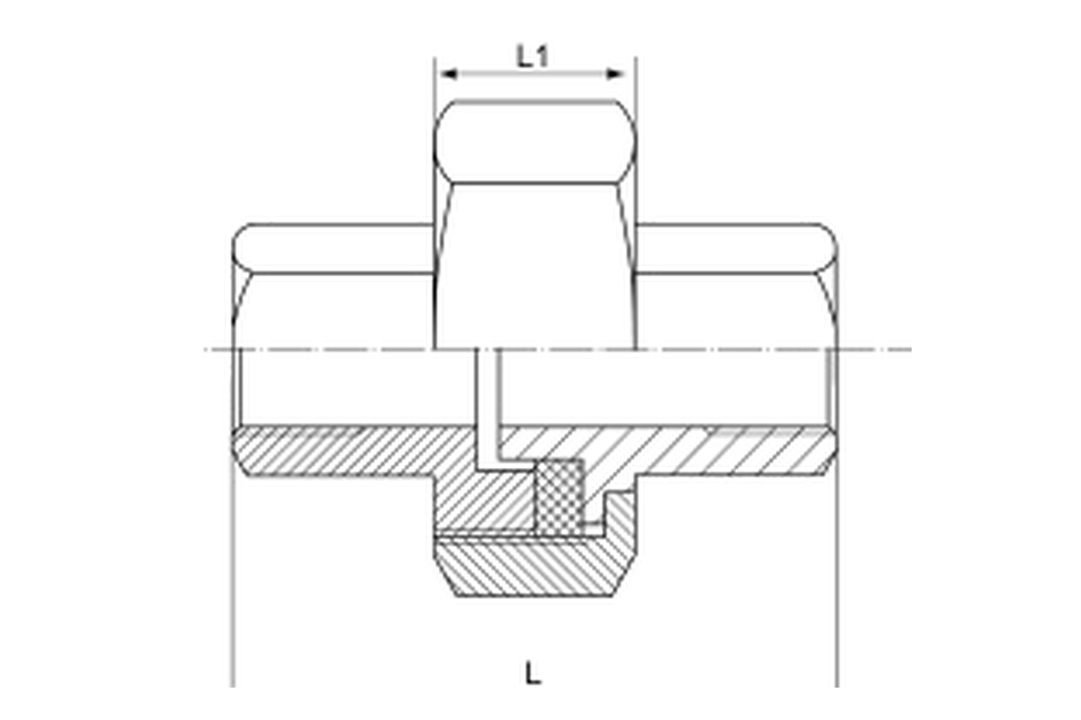 Stainless Steel 150LB Union Teflon Flat F/F complete dimension drawing