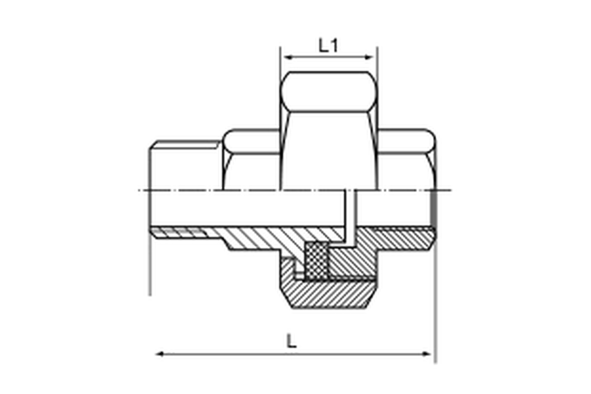 Stainless Steel 150LB Union Teflon Flat M/F complete dimension drawing