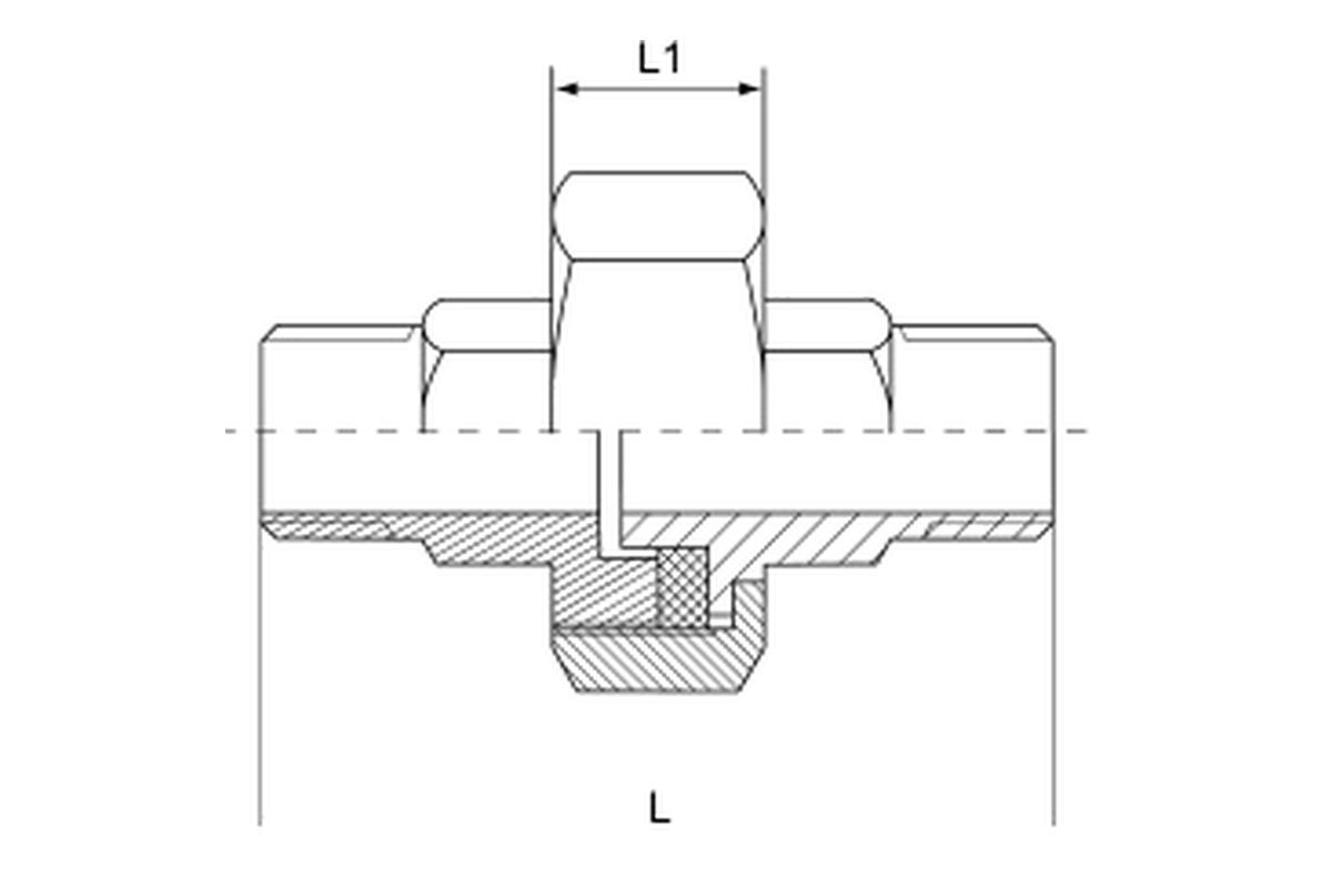 Stainless Steel 150LB Union Teflon Flat M/M complete dimension drawing