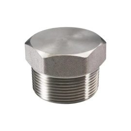 Stainless Hex Head Plug