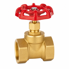 Brass Globe Valve