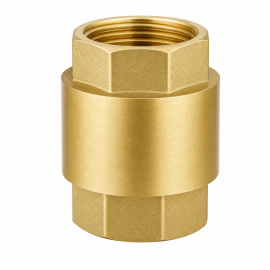Brass Vertical Check Valve