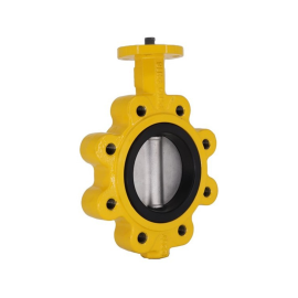 Lug Type Butterfly Valve