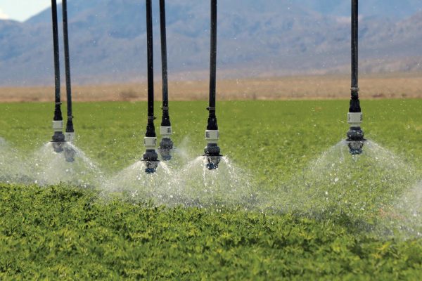 Irrigation1